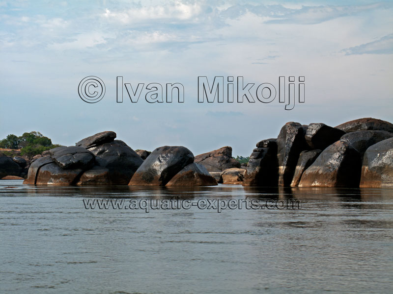 river rocks